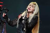 Artist Stevie Nicks